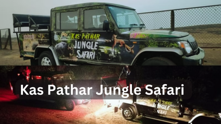 Kas Pathar Jungle Safari