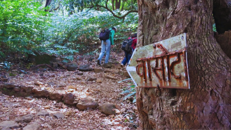 Vasota Trek Near kas Pathar