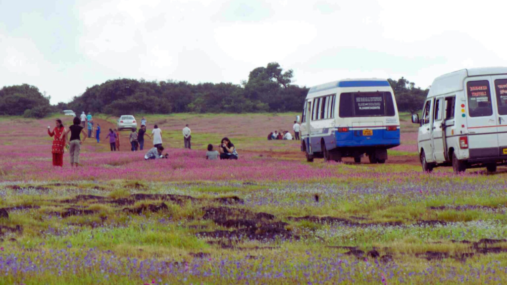 Kaas Plateau Ecosystem Threats Facing the Kaas Plateau Ecosystem and How to Protect It