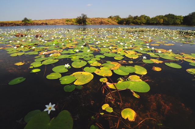 Kumudani Lake on Kas Pathar