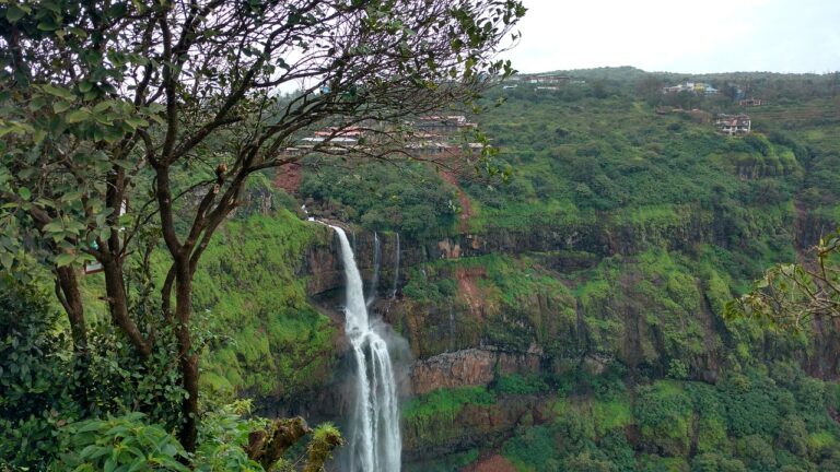 “5 Breathtaking Waterfall Views You Need to See at Kaas Plateau”